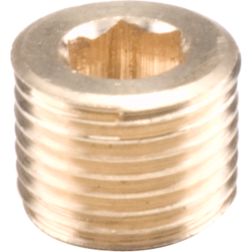 Bouchons de tuyau - Creux hexagonal, 1/8" EastCoast Offshore Supplies