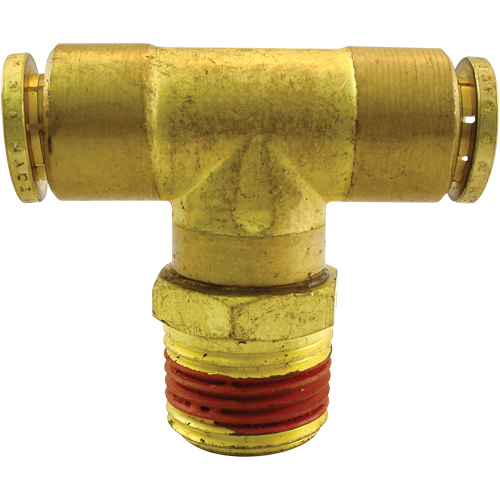 P.T.C. Swivel Male Branch Tees, Brass, 1/8" EastCoast Offshore Supplies