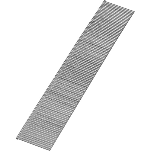 Clous &agrave; t&ecirc;te perdue EastCoast Offshore Supplies