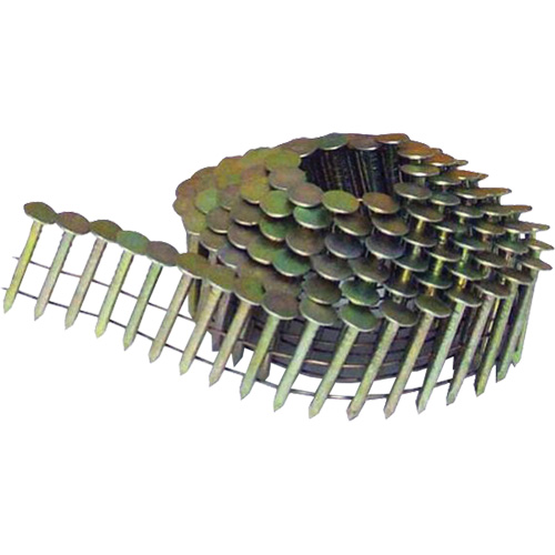 Clous &agrave; toiture &agrave; tige lisse en rouleaux &agrave; 15° EastCoast Offshore Supplies