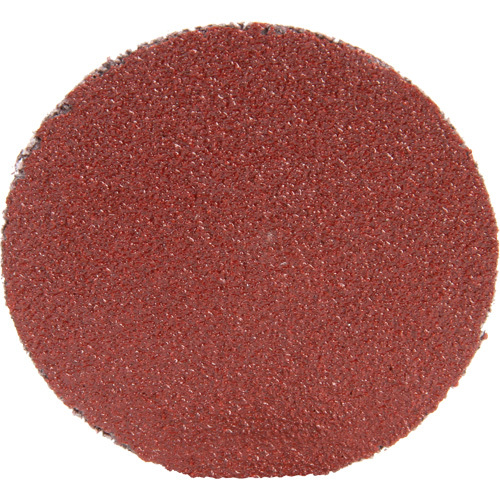 Disque 361F Roloc, 1-1/2" dia., Grain P100, Oxyde d'aluminium EastCoast Offshore Supplies