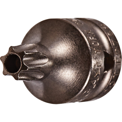 Embout &agrave; ins&eacute;rer, Torx inviolable, 8 x 3/4" lo, Prise 1/4" EastCoast Offshore Supplies