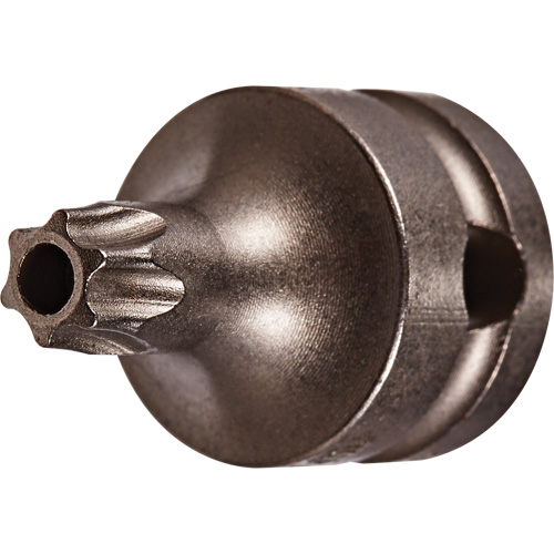 Embout &agrave; ins&eacute;rer, Torx inviolable, 25 x 1" lo, Prise 3/8" EastCoast Offshore Supplies
