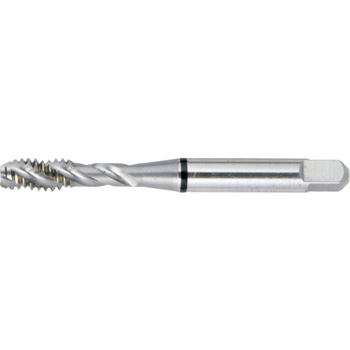 Taraud BT super haute performance &agrave; cannelure spiral&eacute;e DRILLCO, Acier rapide, Filet de 4-48, 1-7/8" l EastCoast Offshore Supplies