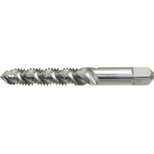 DRILLCO Spiral Flute Hand Tap, High Speed Steel, 1/4"-20 Thread EastCoast Offshore Supplies