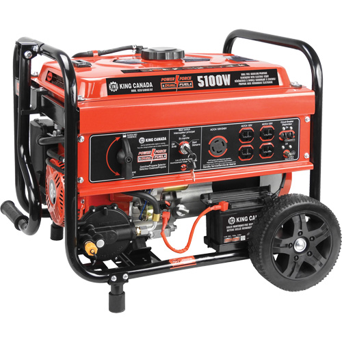 Gasoline/Propane Generator with Electric Start EastCoast Offshore Supplies