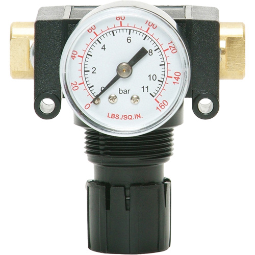 D&eacute;tendeur &agrave; piston en ac&eacute;tal MODULAIR 200, 1/4" NPT, PSI max. de 150 psi, Canalisation/Modulaire EastCoast Offshore Supplies