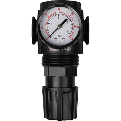 MODULAIR 300 Compressed Air Regulator, 1/2" NPT, 300 psi Max. PSI, In Line/Modular EastCoast Offshore Supplies