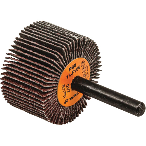 Disques &agrave; lamelles - Meules &agrave; lamelles Coolcut, Oxyde d'aluminium, Grain 60, 1-1/2" x 1" x 1/4" EastCoast Offshore Supplies