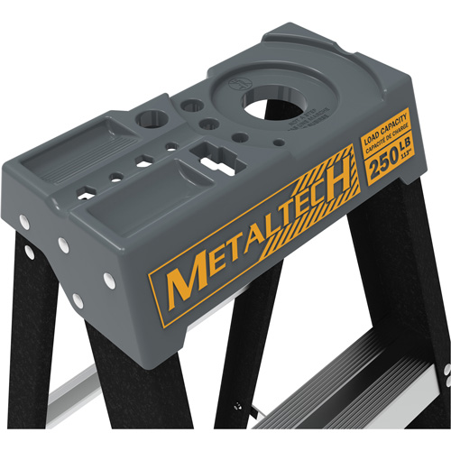 Step Ladder with Paint Tray, 10', Fibreglass, 250 lbs. Capacity, Type 1 EastCoast Offshore Supplies