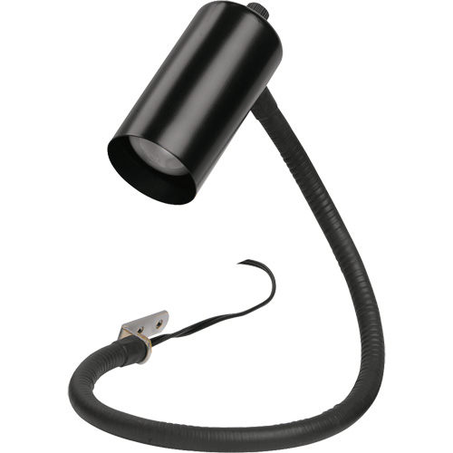 Lampe pour scie &agrave; chantourner EastCoast Offshore Supplies