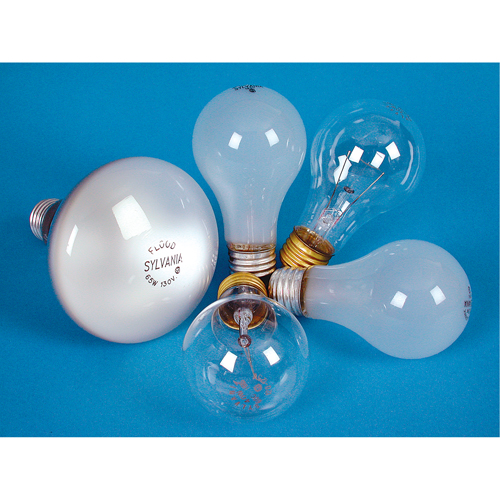 LAMPE INCANDESCENTE,25W,130V,GIVREE,2/PQT EastCoast Offshore Supplies