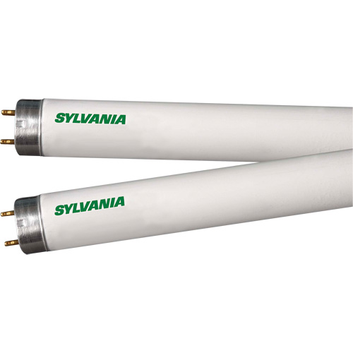 Fluorescent Lamps, 32 W, T8, 4100 K, 48" Long EastCoast Offshore Supplies