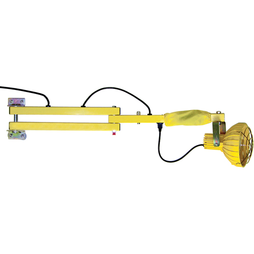 Dock Loading Lights with Flexible Arm, Incandescent Light, 40" Arm EastCoast Offshore Supplies