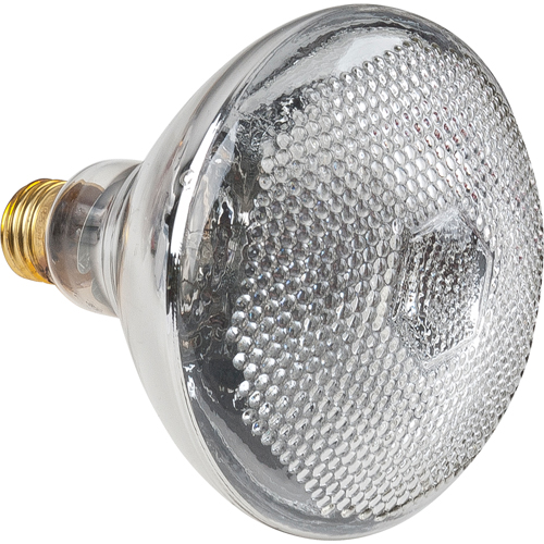 Economy Line Incandescent Lamps EastCoast Offshore Supplies