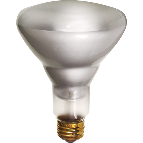 Economy Line Incandescent Lamps EastCoast Offshore Supplies