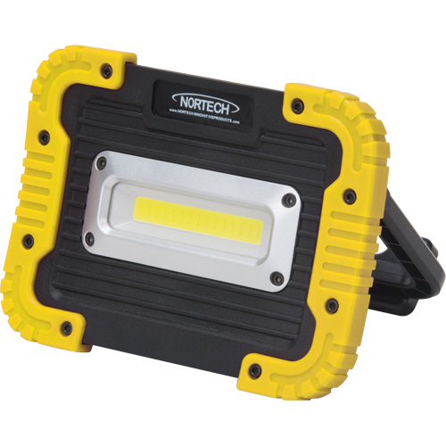 Lampe de travail portative, DEL, 10 W, 1000 lumens, Boîtier en Plastique EastCoast Offshore Supplies