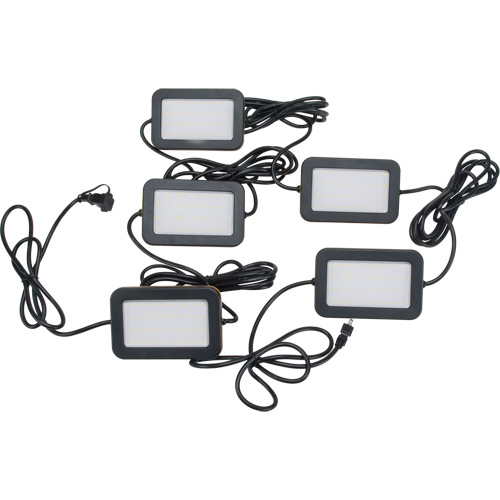 LED String Work Lights, 5 Lights, 50' L, Plastic Housing EastCoast Offshore Supplies