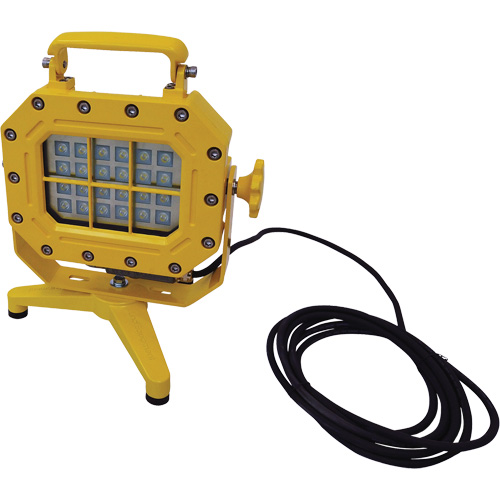 Explosion Proof Floodlight with Stand, LED, 40 W, 5600 Lumens, Aluminum Housing EastCoast Offshore Supplies