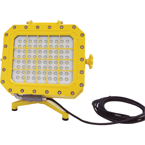 Explosion Proof Floodlight with Floor Stand, LED, 40 W, 5600 Lumens, Aluminum Housing EastCoast Offshore Supplies