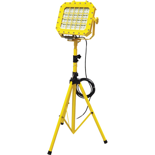 Explosion Proof Floodlight with Tripod, LED, 40 W, 5600 Lumens, Aluminum Housing EastCoast Offshore Supplies