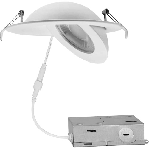 Gimbal Light Fixture, LED, 120 V, 9 W EastCoast Offshore Supplies