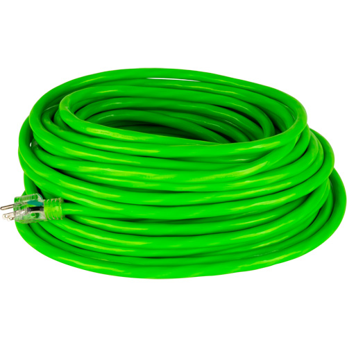 Industrial Extension Cord, All-Weather, SJTW, 10/3 AWG, 15 A, 50' EastCoast Offshore Supplies