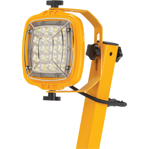 Dock Light, 40" Arm, 50 W, LED Lamp, Metal EastCoast Offshore Supplies