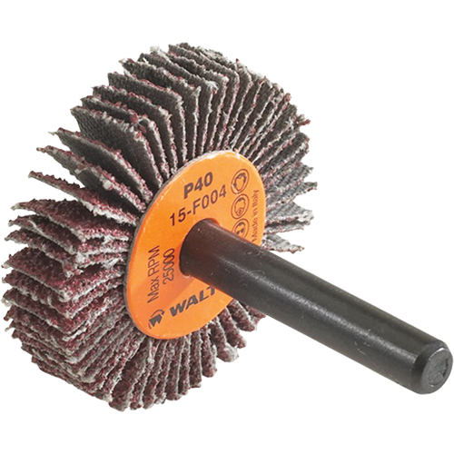 Disque &agrave; lamelles Coolcut, Oxyde d'aluminium, Grain 60, 1-1/2" x 3/8" x 1/4" EastCoast Offshore Supplies