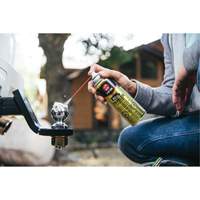 3-in-One&reg; Trailer Hitch Gel Lube, Aerosol Can EastCoast Offshore Supplies