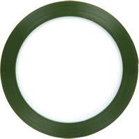 Ruban en polyester, Polyester, 25,4 mm (1") la x 66 m (216') lo, 1,9 mils &eacute;pais EastCoast Offshore Supplies