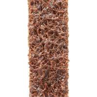 Courroies de traitement des surfaces Scotch-Brite EastCoast Offshore Supplies