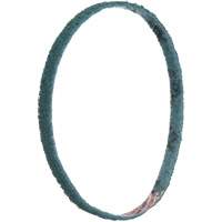 Courroies de traitement des surfaces Scotch-Brite EastCoast Offshore Supplies