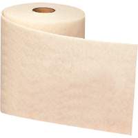 Ruban de nettoyage et de finition Scotch-Brite, Tr&egrave;s fin, Oxyde d'aluminium, 4" la x 30' lo EastCoast Offshore Supplies