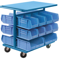Bin Cart with Bins, Double-sided, 20 bins, 24" W x 38-1/2" D x 36-1/2" H EastCoast Offshore Supplies