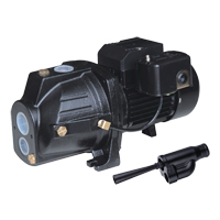 Dual Voltage Cast Iron Convertible Jet Pump, 230 V, 920 GPH, 1 HP EastCoast Offshore Supplies
