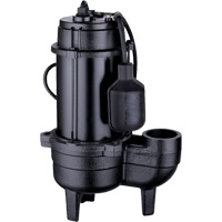 Pompe d'&eacute;gout en fonte, 120 V, 9,5 A, 6000 gal./h, 1/2 CV EastCoast Offshore Supplies