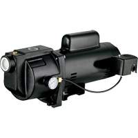 Dual Voltage Cast Iron Shallow Well Jet Pump, 115 V/230 V, 1260 GPH, 1 HP EastCoast Offshore Supplies
