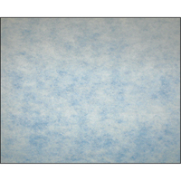 Filtres en m&eacute;dias synth&eacute;tiques &agrave; arrestance &eacute;lev&eacute;e, Tampon, MERV 5, 24" la x 2" p x 12" h EastCoast Offshore Supplies