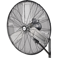 Oscillating Wall Fan, Industrial, 2 Speed, 30" Diameter EastCoast Offshore Supplies