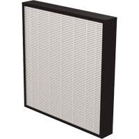 AeraMax&reg; Pro AM3 & AM4 2" True HEPA Filter, Box, 13.75" W x 2.25" D x 14.38" H EastCoast Offshore Supplies