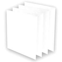 AeraMax&reg; Pro AM3 or AM4 Pre-Filters, 13.75" W x 0.13" D x 14.38" H EastCoast Offshore Supplies