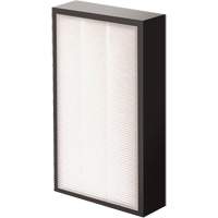 AeraMax&reg; Pro AM2 1-3/4" True HEPA Filter, Box, 7.38" W x 1.88" D x 12.88" H EastCoast Offshore Supplies
