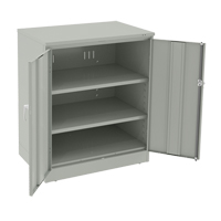 Deluxe Counter High Cabinet, Steel, 2 Shelves, 42" H x 36" W x 24" D, Light Grey EastCoast Offshore Supplies
