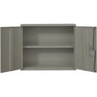 Wall Mounted Cabinet, Steel, 2 Shelves, 30" H x 36" W x 12" D, Grey EastCoast Offshore Supplies