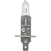 64155 Basic Automotive Bulb, Halogen, 78 W, Off White EastCoast Offshore Supplies