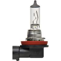 H8 Basic Headlight Bulb, Halogen, 35 W, Off White EastCoast Offshore Supplies