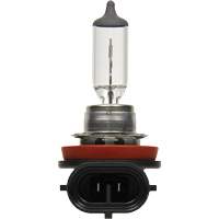 H8 Basic Headlight Bulb, Halogen, 35 W, Off White EastCoast Offshore Supplies