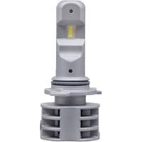 9006 Ampoule pour feu avant, DEL, 13,2 W/17 W, Blanc EastCoast Offshore Supplies