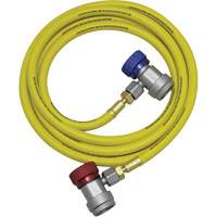 R134a A/C System Flush Hose Assembly EastCoast Offshore Supplies